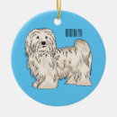 Search for bichon christmas tree decorations Dog