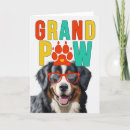 Search for bernese mountain dog cards Dogs