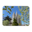 Search for salt rectangular magnets Lds