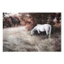 Search for backdrops posters Vintage