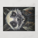 Search for racoons postcards Animals