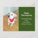 Search for simple dog postcards White