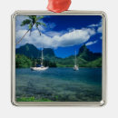 Search for tahiti christmas tree decorations Vacation