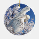 Search for owls christmas tree decorations nature