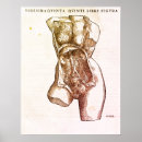 Search for reproduction posters Illustration