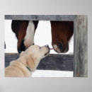 Search for lick posters Dog