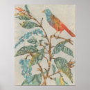 Search for animal patterns posters Birds