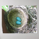 Search for robins egg blue posters For kids