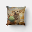Search for poodle cushions Puppies