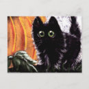 Search for cat tail horizontal postcards Black