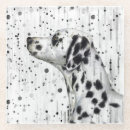 Search for dotty coasters Spotty