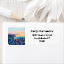 Search for carpinteria California