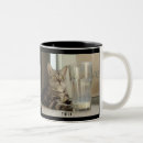 Search for silver cat mugs Kitten