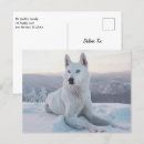 Search for malamute postcards Animal