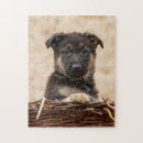 Search for german shepherd puzzles Cute