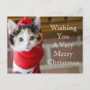 Search for calico christmas cards Adorable