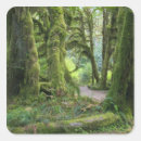 Search for hoh stickers Tree