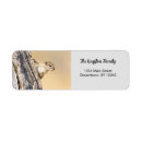 Search for funny squirrel return address labels Wildlife