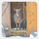 Search for cute goat stickers Country