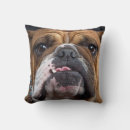 Search for english bulldog cushions Animals