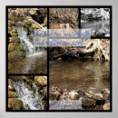 Search for hidden posters Nature