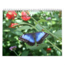 Search for insect calendars Moths
