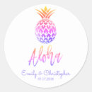Search for pineapple wedding stickers Destination