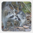 Search for sanibel stickers Ding darling