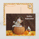Search for candy corn postcards Pumpkin