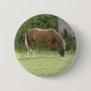Search for grazing badges Animals