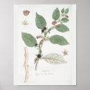 Search for draw art Wall