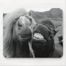Search for getty mouse mats Photography