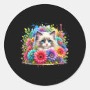 Search for ragdoll cat stickers Funny