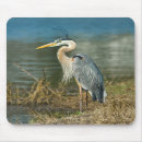 Search for blue heron electronics Birds