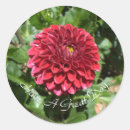 Search for dahlia stickers Flower