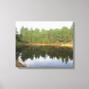 Search for pine trees canvas prints Forest