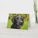 Search for funny photographer cards Dog