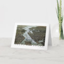 Search for norfolk cards Virginia