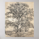Search for oak tree posters Landscape