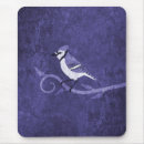 Search for blue jay electronics Animals