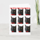 Search for explains cards Cat