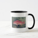 Search for red fish mugs Marine