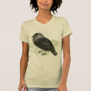 Search for jackdaws Black