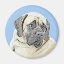 Search for mastiffs magnets Cute