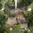 Search for fox christmas tree decorations Sleeping