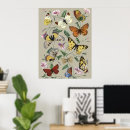 Search for vintage moth posters Paul gervais