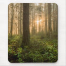Search for rain forest electronics Landscape
