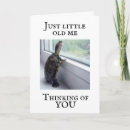 Search for turtle get well cards Sick