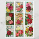 Search for catalog Flower