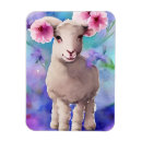 Search for white sheeps magnets Lamb